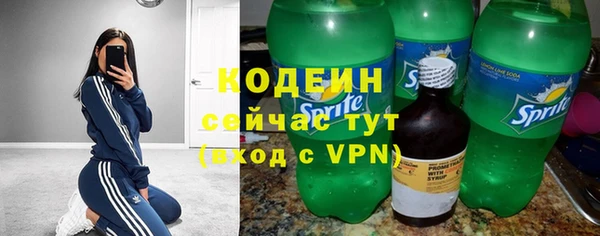 молекула духа Сосновка