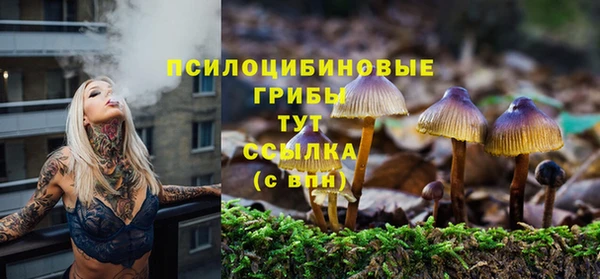 метамфетамин Белокуриха