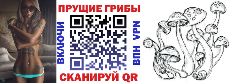 где можно купить наркотик  Мыски  Галлюциногенные грибы Cubensis 
